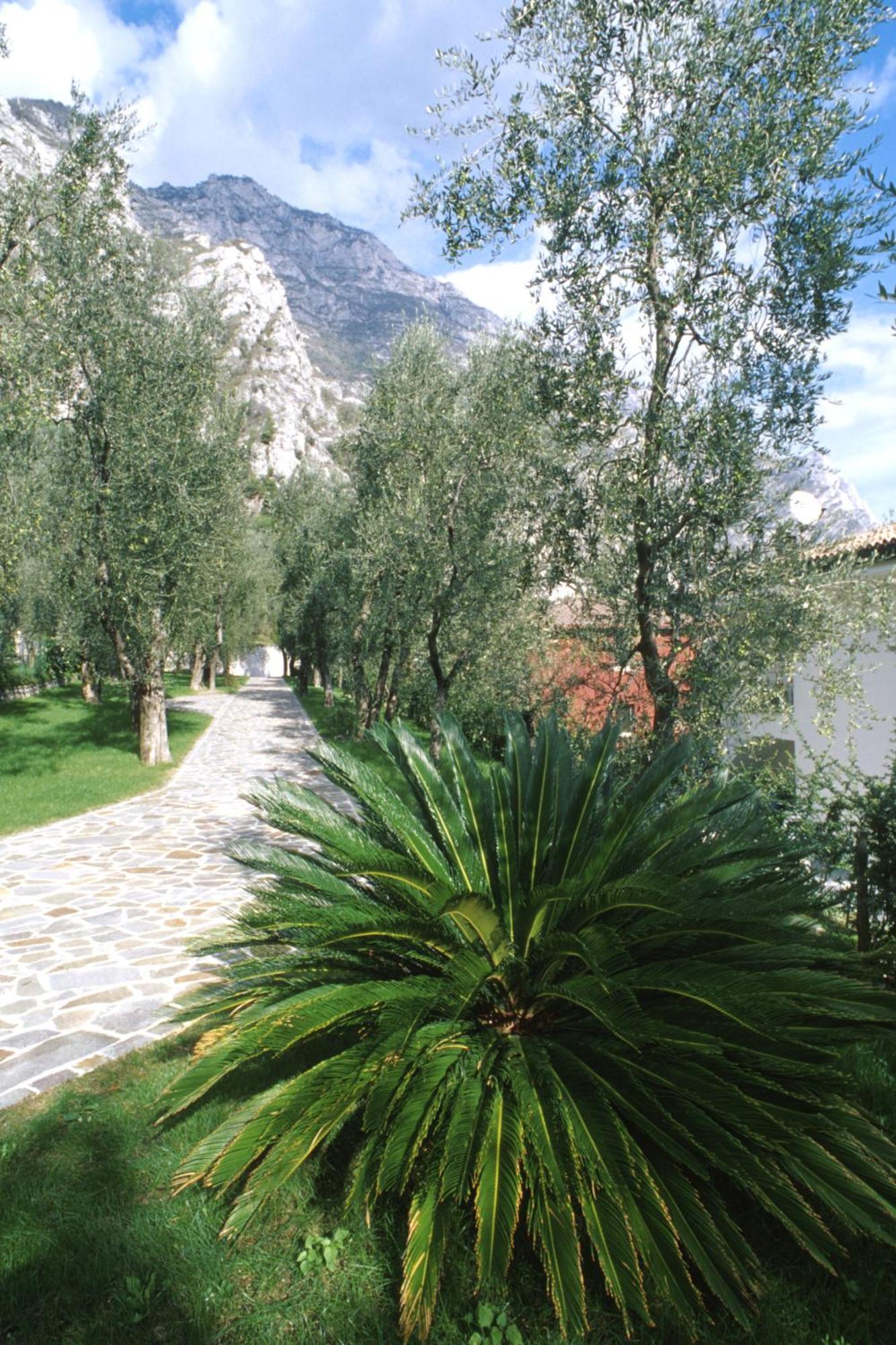 Hotel Ilma Limone sul Garda