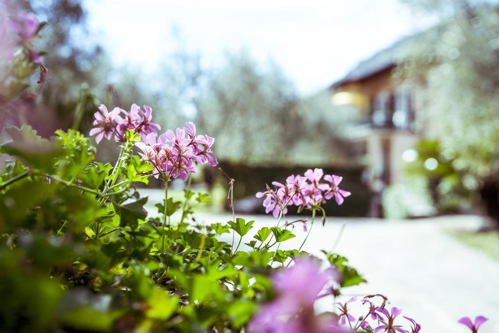 Ilma Garda Hotel Limone sul Garda